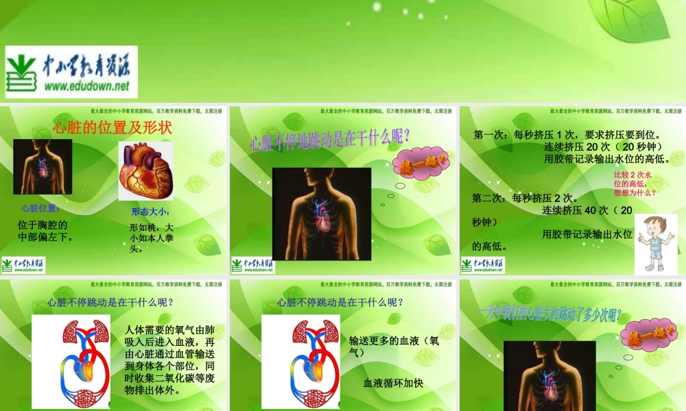 教科小学科学四上《4.4、跳动起来会怎样（二）》PPT课件(2)【加微信公众号 jiaoxuewuyou 九折优惠 qq 1119139686】.ppt