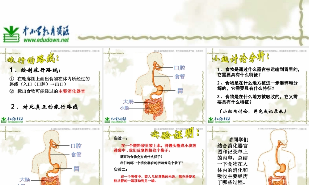 教科小学科学四上《4.5、食物在体内的旅行》PPT课件(8)【加微信公众号 jiaoxuewuyou 九折优惠 qq 1119139686】.ppt