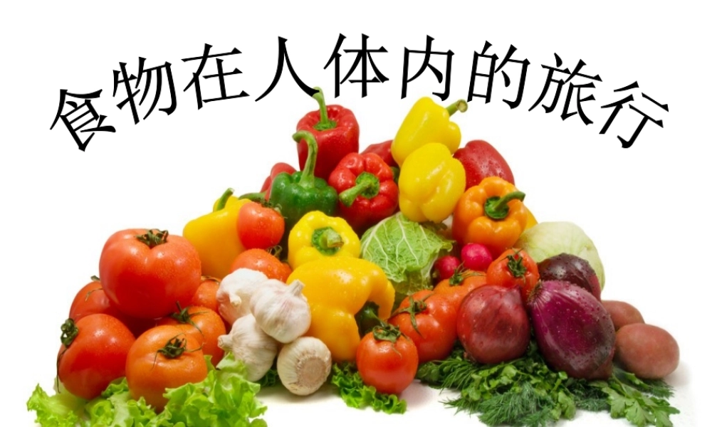教科小学科学四上《4.5、食物在体内的旅行》PPT课件(1)【加微信公众号 jiaoxuewuyou 九折优惠 qq 1119139686】.ppt