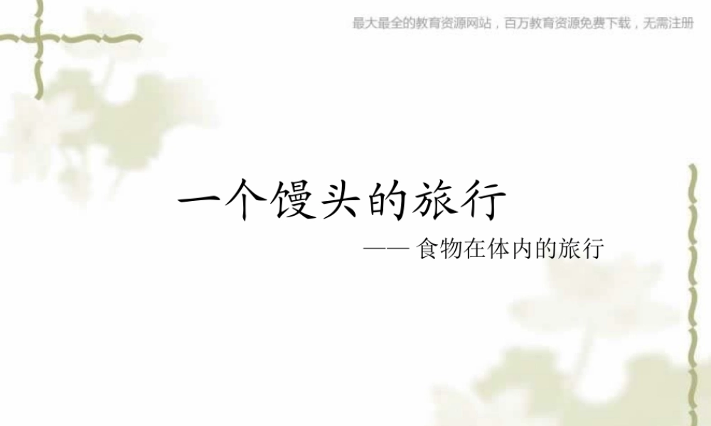 教科小学科学四上《4.5、食物在体内的旅行》PPT课件(6)【加微信公众号 jiaoxuewuyou 九折优惠 qq 1119139686】.ppt