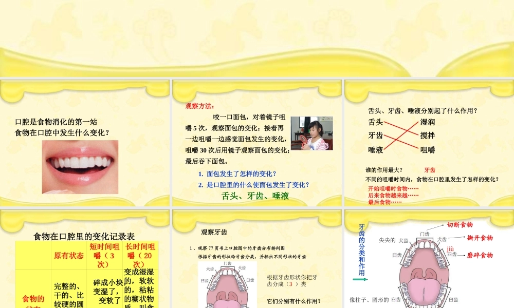 教科小学科学四上《4.6、食物口腔里的变化》PPT课件(4)【加微信公众号 jiaoxuewuyou 九折优惠 qq 1119139686】.ppt