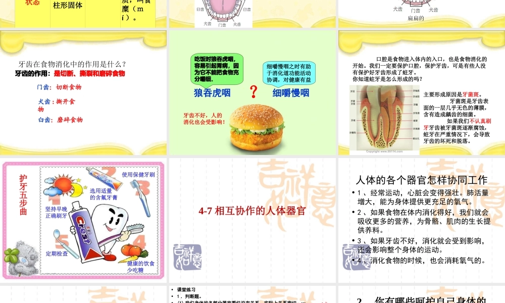 教科小学科学四上《4.6、食物口腔里的变化》PPT课件(4)【加微信公众号 jiaoxuewuyou 九折优惠 qq 1119139686】.ppt