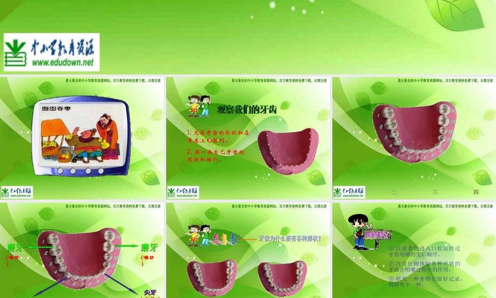 教科小学科学四上《4.6、食物口腔里的变化》PPT课件(1)【加微信公众号 jiaoxuewuyou 九折优惠 qq 1119139686】.ppt
