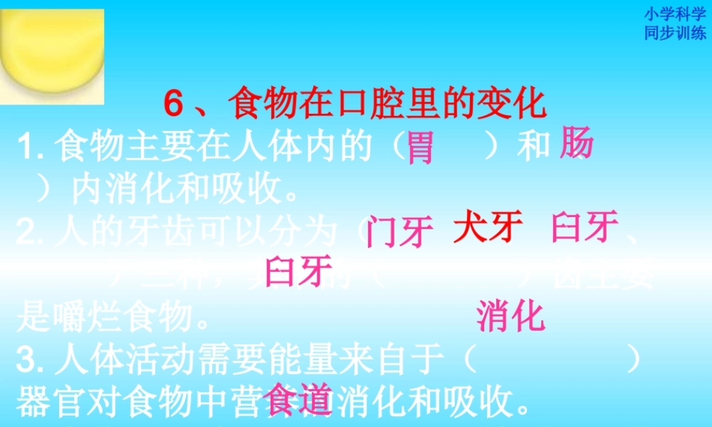 教科小学科学四上《4.6、食物口腔里的变化》PPT课件(3)【加微信公众号 jiaoxuewuyou 九折优惠 qq 1119139686】.ppt