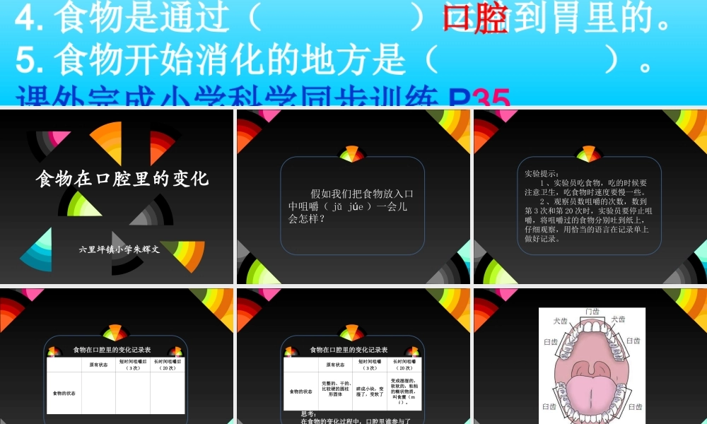 教科小学科学四上《4.6、食物口腔里的变化》PPT课件(3)【加微信公众号 jiaoxuewuyou 九折优惠 qq 1119139686】.ppt