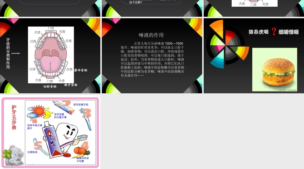 教科小学科学四上《4.6、食物口腔里的变化》PPT课件(3)【加微信公众号 jiaoxuewuyou 九折优惠 qq 1119139686】.ppt