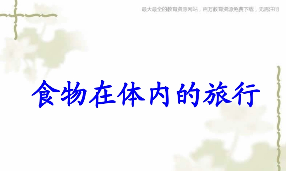 教科小学科学四上《4.5、食物在体内的旅行》PPT课件(9)【加微信公众号 jiaoxuewuyou 九折优惠 qq 1119139686】.ppt