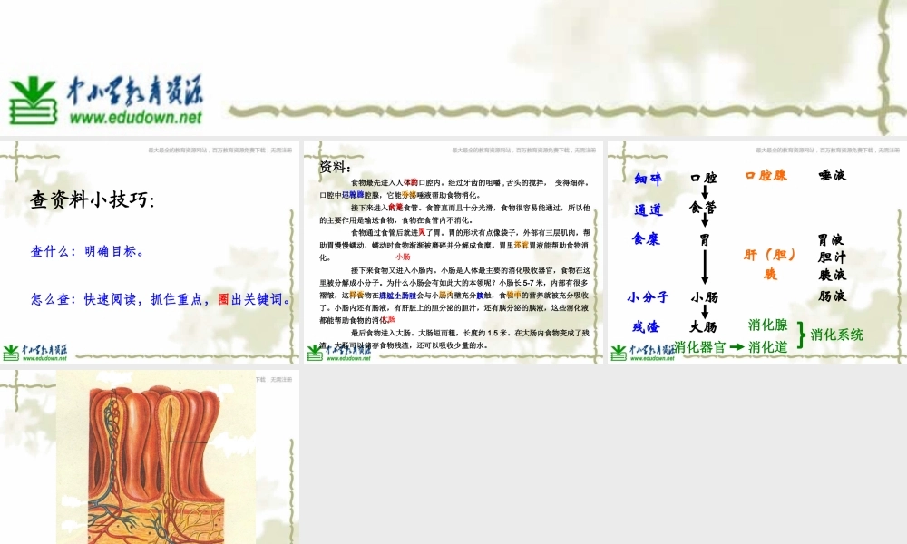 教科小学科学四上《4.5、食物在体内的旅行》PPT课件(9)【加微信公众号 jiaoxuewuyou 九折优惠 qq 1119139686】.ppt