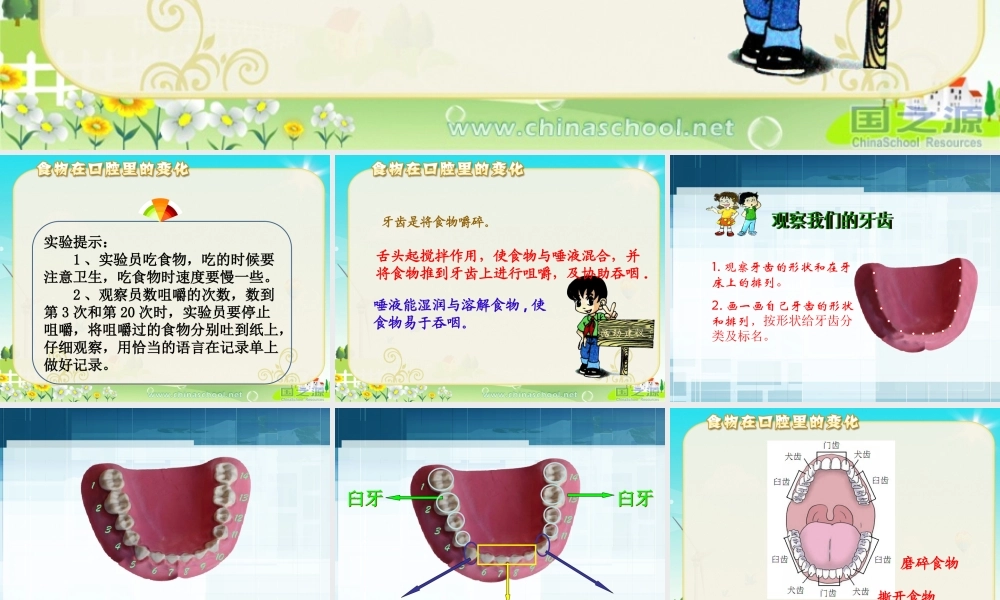 教科小学科学四上《4.6、食物口腔里的变化》PPT课件(2)【加微信公众号 jiaoxuewuyou 九折优惠 qq 1119139686】.ppt