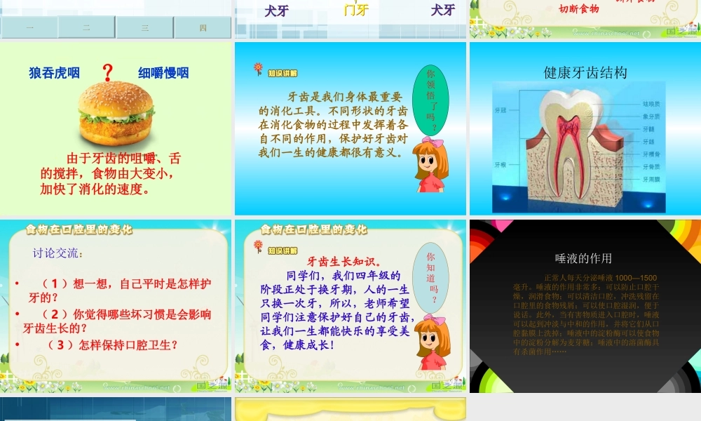 教科小学科学四上《4.6、食物口腔里的变化》PPT课件(2)【加微信公众号 jiaoxuewuyou 九折优惠 qq 1119139686】.ppt