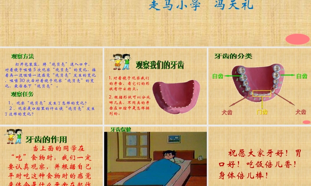 教科小学科学四上《4.6、食物口腔里的变化》PPT课件(7)【加微信公众号 jiaoxuewuyou 九折优惠 qq 1119139686】.ppt