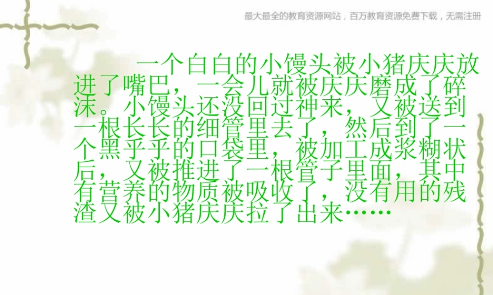 教科小学科学四上《4.5、食物在体内的旅行》PPT课件(10)【加微信公众号 jiaoxuewuyou 九折优惠 qq 1119139686】.ppt