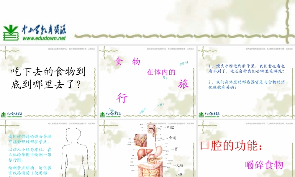 教科小学科学四上《4.5、食物在体内的旅行》PPT课件(10)【加微信公众号 jiaoxuewuyou 九折优惠 qq 1119139686】.ppt
