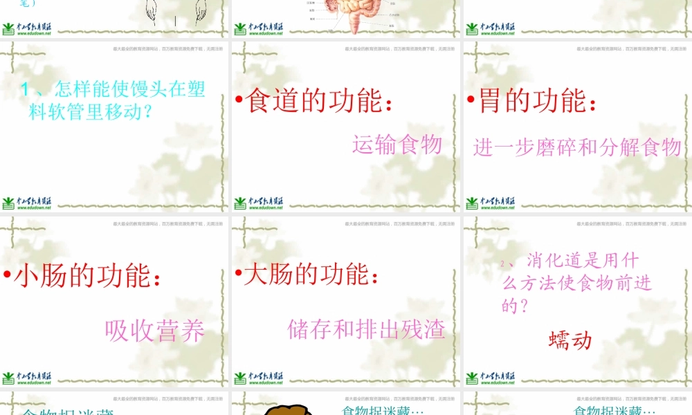 教科小学科学四上《4.5、食物在体内的旅行》PPT课件(10)【加微信公众号 jiaoxuewuyou 九折优惠 qq 1119139686】.ppt