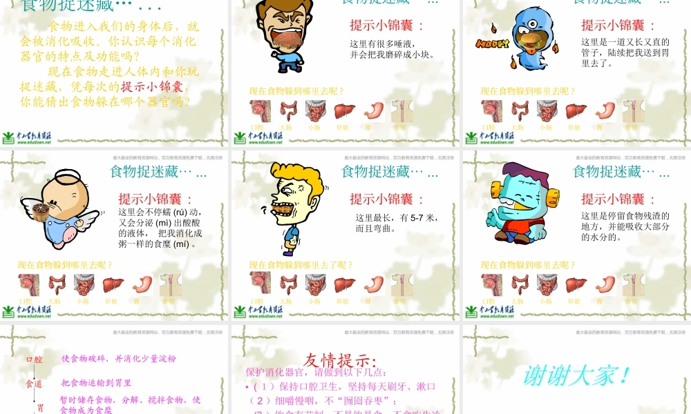 教科小学科学四上《4.5、食物在体内的旅行》PPT课件(10)【加微信公众号 jiaoxuewuyou 九折优惠 qq 1119139686】.ppt