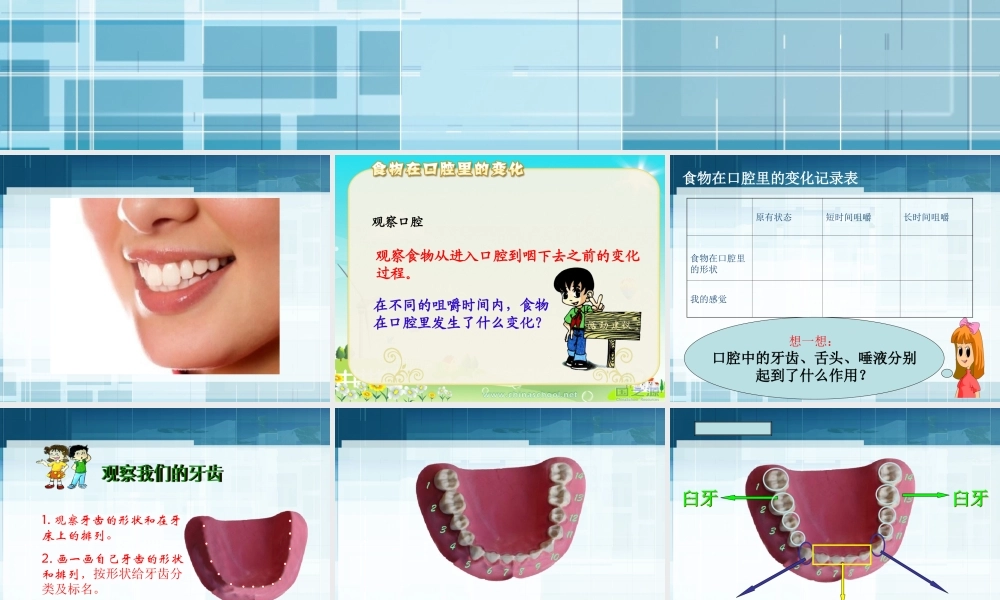 教科小学科学四上《4.6、食物口腔里的变化》PPT课件(8)【加微信公众号 jiaoxuewuyou 九折优惠 qq 1119139686】.ppt
