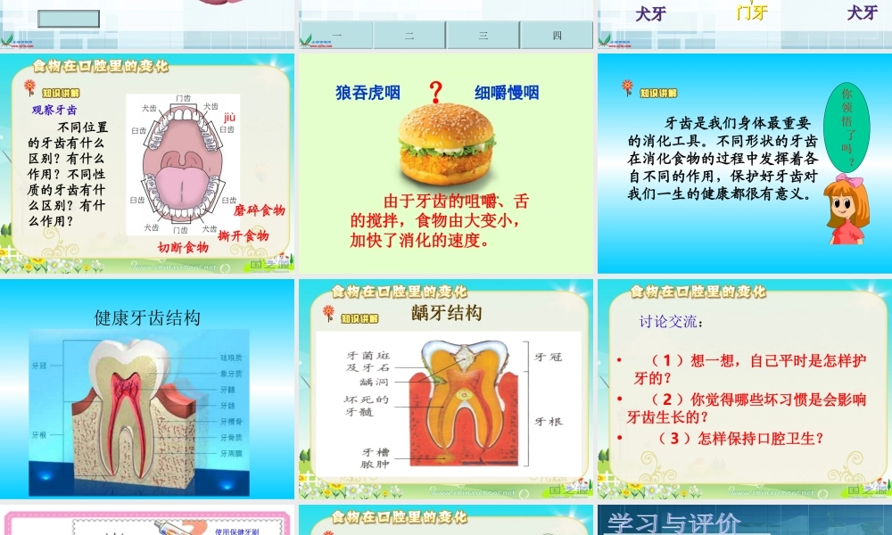 教科小学科学四上《4.6、食物口腔里的变化》PPT课件(8)【加微信公众号 jiaoxuewuyou 九折优惠 qq 1119139686】.ppt