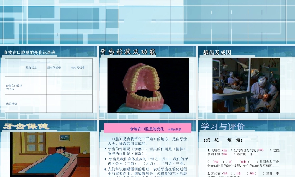 教科小学科学四上《4.6、食物口腔里的变化》PPT课件(6)【加微信公众号 jiaoxuewuyou 九折优惠 qq 1119139686】.ppt