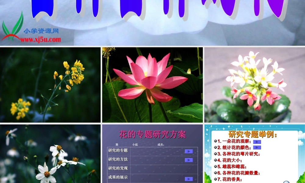 教科小学科学四下《2.2.各种各样的花》PPT课件(1)【加微信公众号 jiaoxuewuyou 九折优惠 qq 1119139686】.ppt