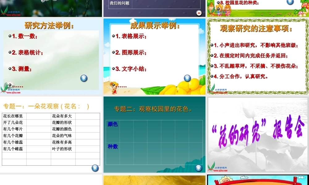 教科小学科学四下《2.2.各种各样的花》PPT课件(1)【加微信公众号 jiaoxuewuyou 九折优惠 qq 1119139686】.ppt