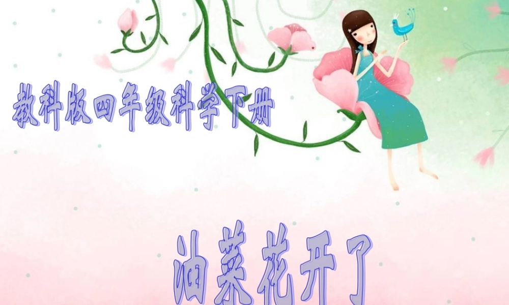 教科小学科学四下《2.1.油菜花开了》PPT课件(4)【加微信公众号 jiaoxuewuyou 九折优惠 qq 1119139686】.ppt