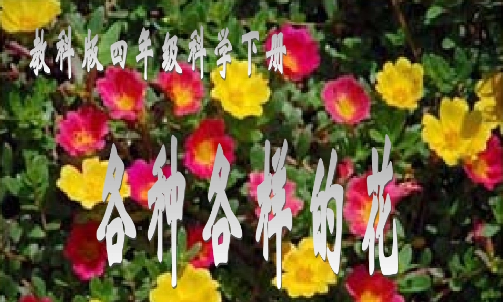 教科小学科学四下《2.2.各种各样的花》PPT课件(2)【加微信公众号 jiaoxuewuyou 九折优惠 qq 1119139686】.ppt
