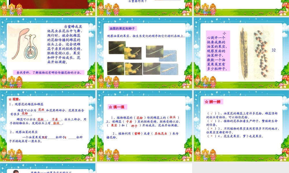 教科小学科学四下《2.3.花、果实和种子》PPT课件(2)【加微信公众号 jiaoxuewuyou 九折优惠 qq 1119139686】.ppt