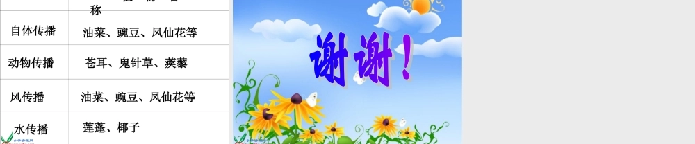 教科小学科学四下《2.4.把种子散播到远处》PPT课件(4)【加微信公众号 jiaoxuewuyou 九折优惠 qq 1119139686】.ppt