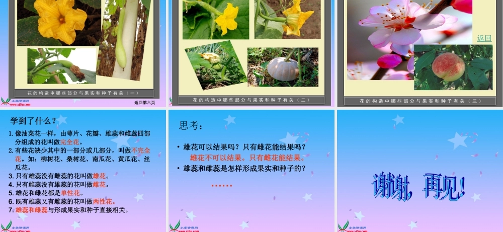 教科小学科学四下《2.2.各种各样的花》PPT课件(3)【加微信公众号 jiaoxuewuyou 九折优惠 qq 1119139686】.ppt