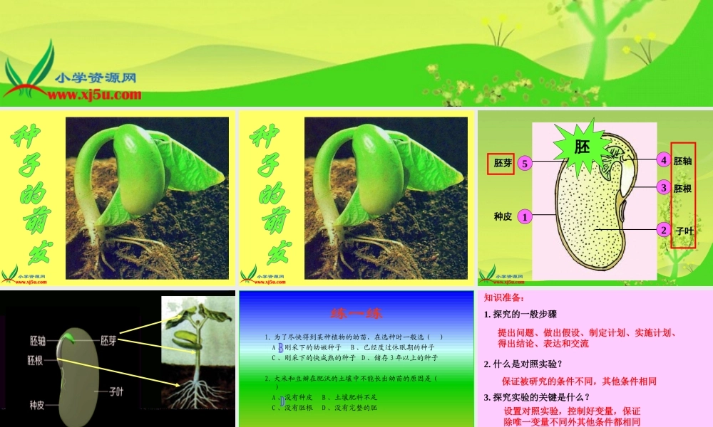 教科小学科学四下《2.5.种子的萌发》PPT课件(1)【加微信公众号 jiaoxuewuyou 九折优惠 qq 1119139686】.ppt