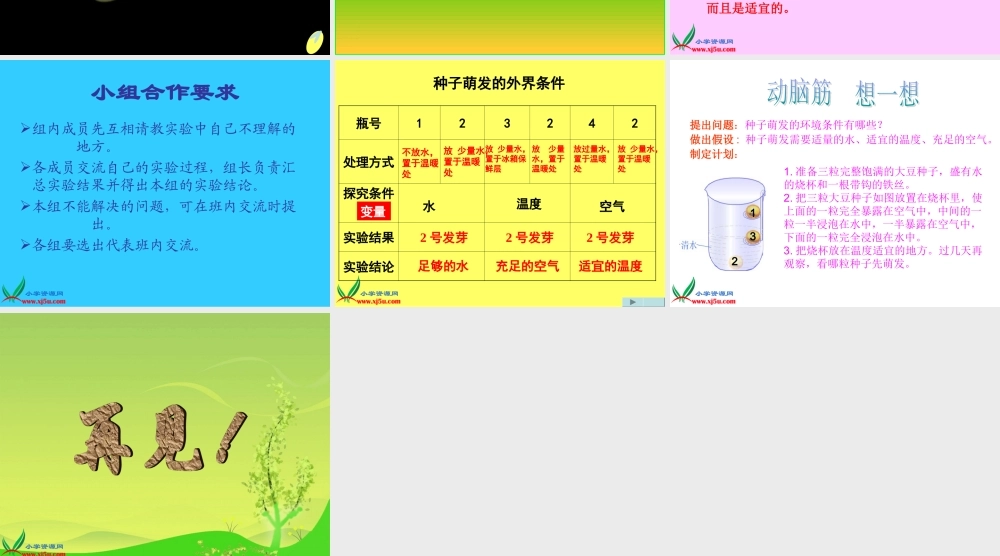 教科小学科学四下《2.5.种子的萌发》PPT课件(1)【加微信公众号 jiaoxuewuyou 九折优惠 qq 1119139686】.ppt