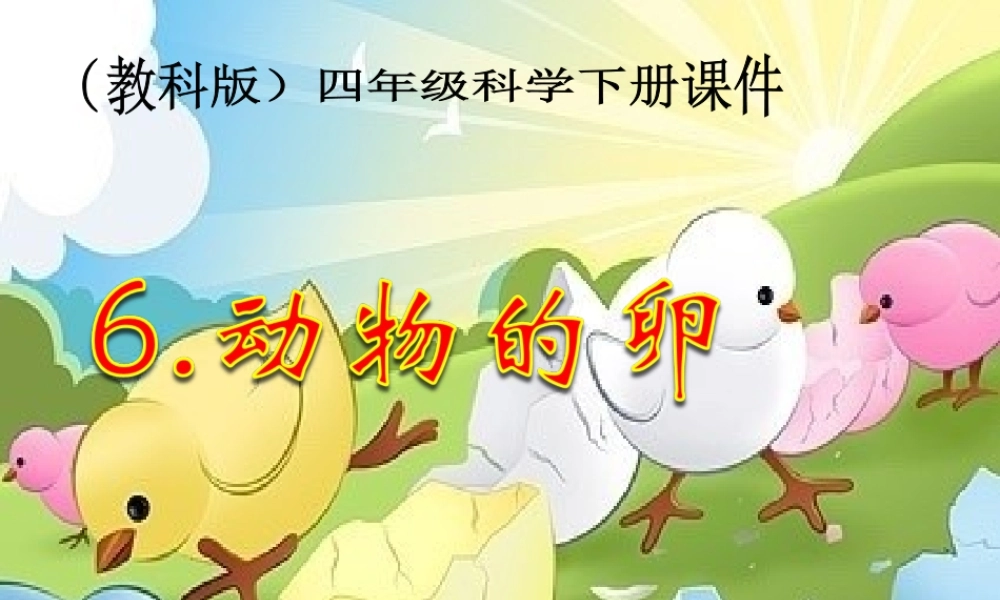 教科小学科学四下《2.6.动物的卵》PPT课件(2)【加微信公众号 jiaoxuewuyou 九折优惠 qq 1119139686】.ppt