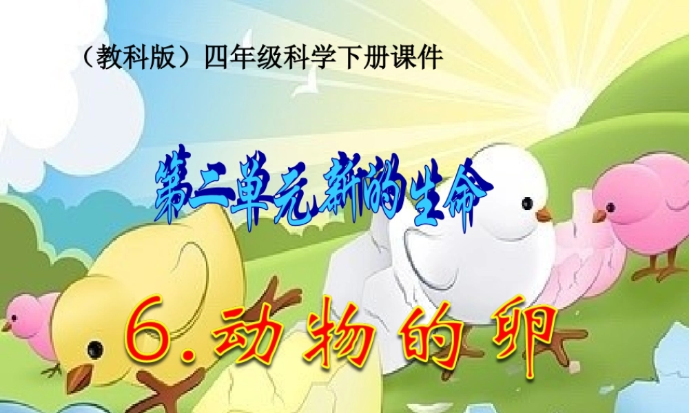 教科小学科学四下《2.6.动物的卵》PPT课件(4)【加微信公众号 jiaoxuewuyou 九折优惠 qq 1119139686】.ppt