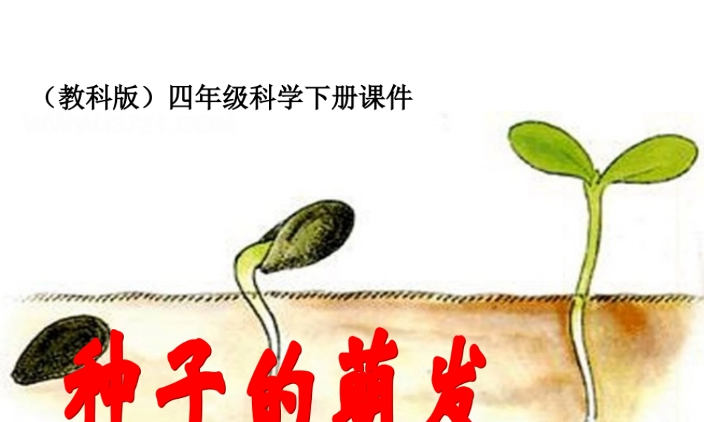 教科小学科学四下《2.5.种子的萌发》PPT课件(5)【加微信公众号 jiaoxuewuyou 九折优惠 qq 1119139686】.ppt