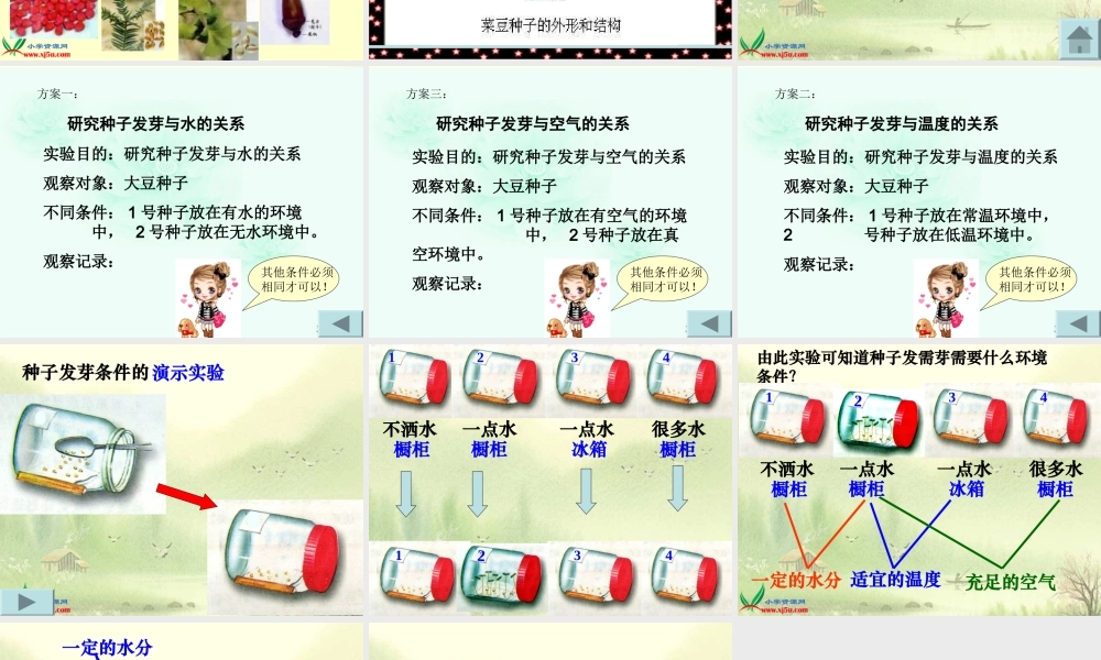 教科小学科学四下《2.5.种子的萌发》PPT课件(5)【加微信公众号 jiaoxuewuyou 九折优惠 qq 1119139686】.ppt