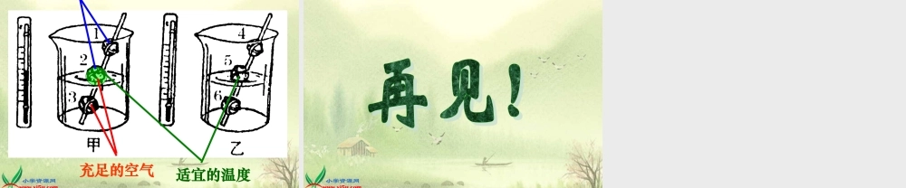 教科小学科学四下《2.5.种子的萌发》PPT课件(5)【加微信公众号 jiaoxuewuyou 九折优惠 qq 1119139686】.ppt