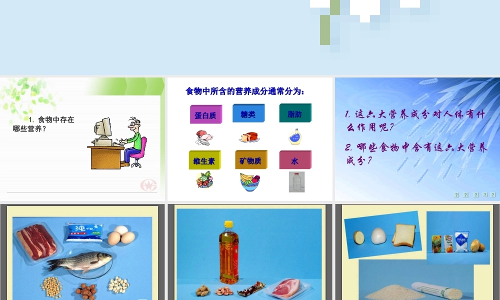 教科小学科学四下《3.2.食物中的营养》PPT课件(3)【加微信公众号 jiaoxuewuyou 九折优惠 qq 1119139686】.ppt