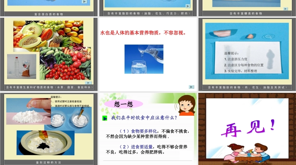 教科小学科学四下《3.2.食物中的营养》PPT课件(3)【加微信公众号 jiaoxuewuyou 九折优惠 qq 1119139686】.ppt