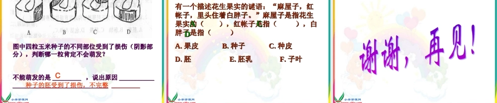 教科小学科学四下《2.5.种子的萌发》PPT课件(4)【加微信公众号 jiaoxuewuyou 九折优惠 qq 1119139686】.ppt