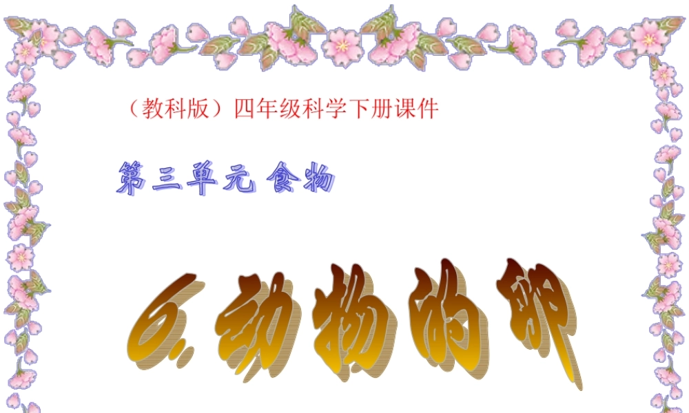 教科小学科学四下《2.6.动物的卵》PPT课件(5)【加微信公众号 jiaoxuewuyou 九折优惠 qq 1119139686】.ppt