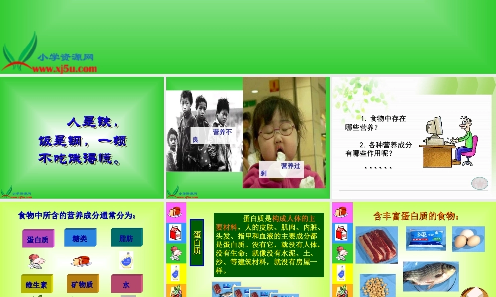 教科小学科学四下《3.2.食物中的营养》PPT课件(2)【加微信公众号 jiaoxuewuyou 九折优惠 qq 1119139686】.ppt
