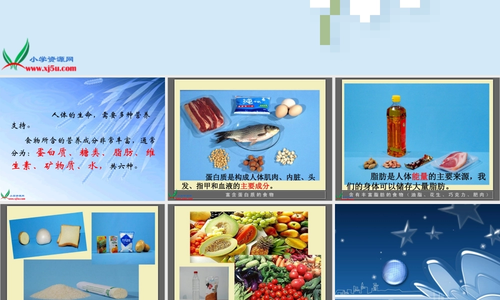 教科小学科学四下《3.2.食物中的营养》PPT课件(8)【加微信公众号 jiaoxuewuyou 九折优惠 qq 1119139686】.ppt
