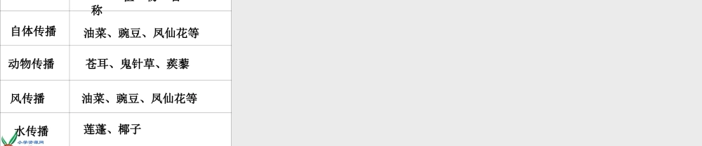 教科小学科学四下《2.4.把种子散播到远处》PPT课件(3)【加微信公众号 jiaoxuewuyou 九折优惠 qq 1119139686】.ppt