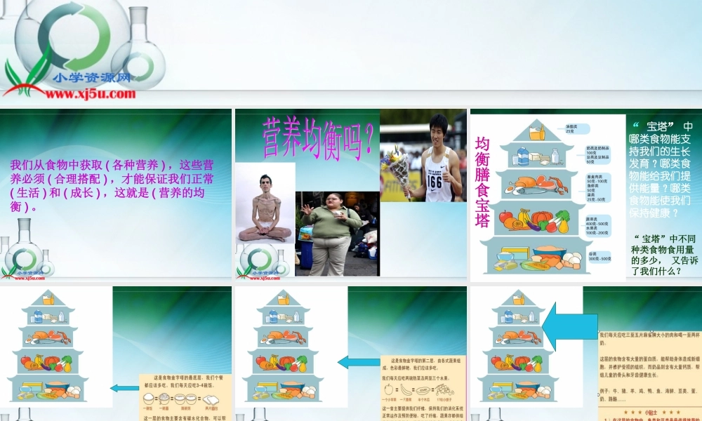 教科小学科学四下《3.3.营养要均衡》PPT课件(2)【加微信公众号 jiaoxuewuyou 九折优惠 qq 1119139686】.ppt