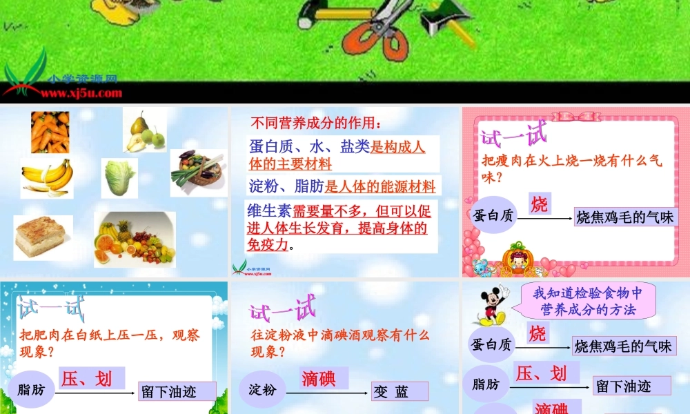 教科小学科学四下《3.2.食物中的营养》PPT课件(5)【加微信公众号 jiaoxuewuyou 九折优惠 qq 1119139686】.ppt