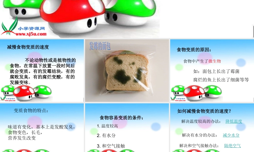 教科小学科学四下《3.2.食物中的营养》PPT课件(6)【加微信公众号 jiaoxuewuyou 九折优惠 qq 1119139686】.ppt