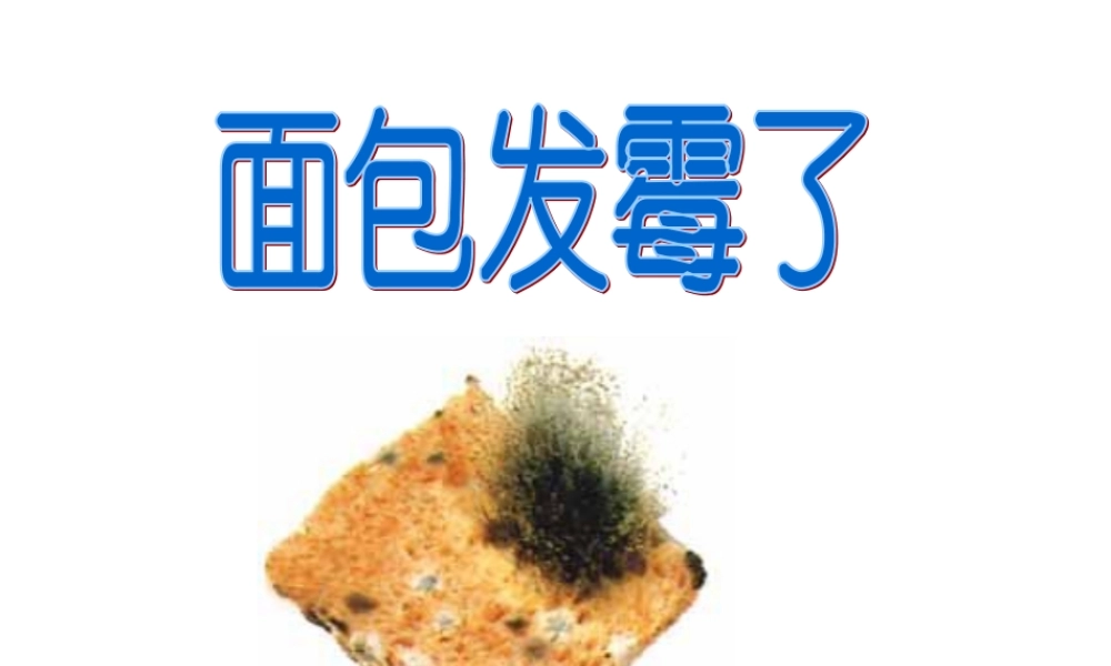 教科小学科学四下《3.5.面包发霉了》PPT课件(1)【加微信公众号 jiaoxuewuyou 九折优惠 qq 1119139686】.ppt