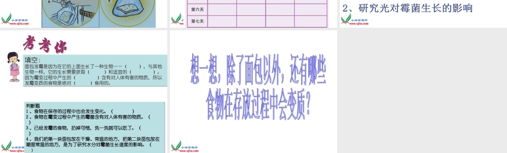 教科小学科学四下《3.5.面包发霉了》PPT课件(1)【加微信公众号 jiaoxuewuyou 九折优惠 qq 1119139686】.ppt