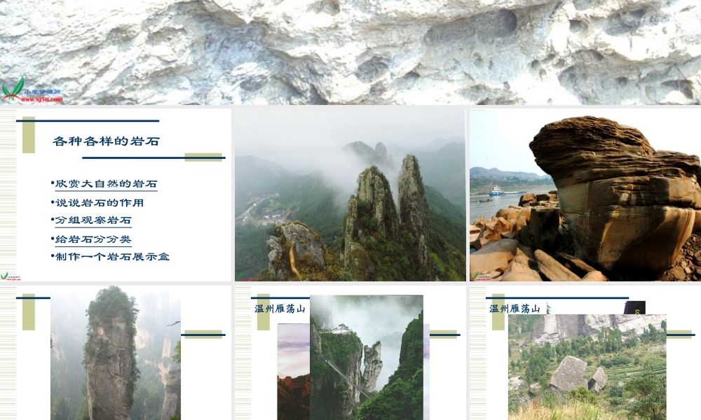 教科小学科学四下《4.1.各种各样的岩石》PPT课件(2)【加微信公众号 jiaoxuewuyou 九折优惠 qq 1119139686】.ppt