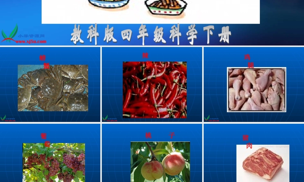 教科小学科学四下《3.4.生的食物和熟的食物》PPT课件(2)【加微信公众号 jiaoxuewuyou 九折优惠 qq 1119139686】.ppt